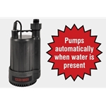 Red Lion 14942735 RLMP25-A 1/4 HP 115Volt(Replaces 602017)