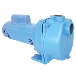 Little Giant 558296 LSP-200-C Lawn Sprinkler Pump 2 HP 230 volt only on 2 HP