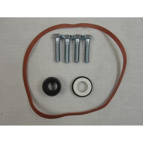 Red Lion 640197 RL ACC Replacement Seal Kit for Gas Pump for sale online 