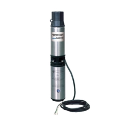 Little Giant 558221 WE10G05P4-21 10 Gal 1/2 HP Effluent Pump