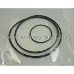Little Giant 305446909 Gasket/O-Ring Kit Sprinkler (Casing o-ring kit for all LSP and RLSP pumps)(Replaces 191500, 198670, 275743135)