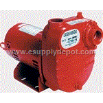 Red Lion 621810 RL-S50 Surface Effluent Pump